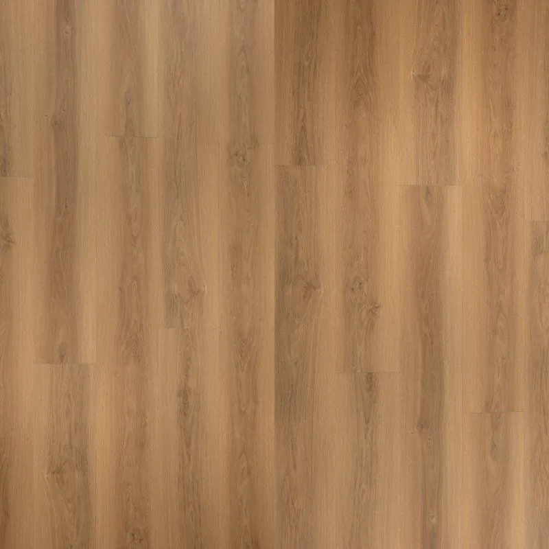 PROCORE CLICK LIGHT BROWN