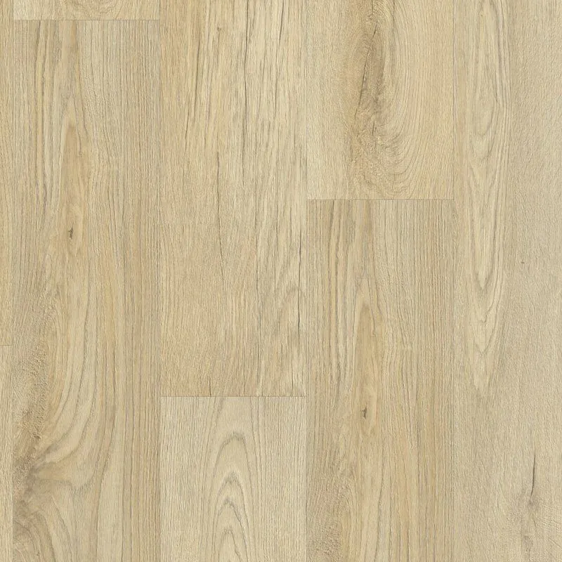 LEGION PLANK CL.PAD STELLATA OAK