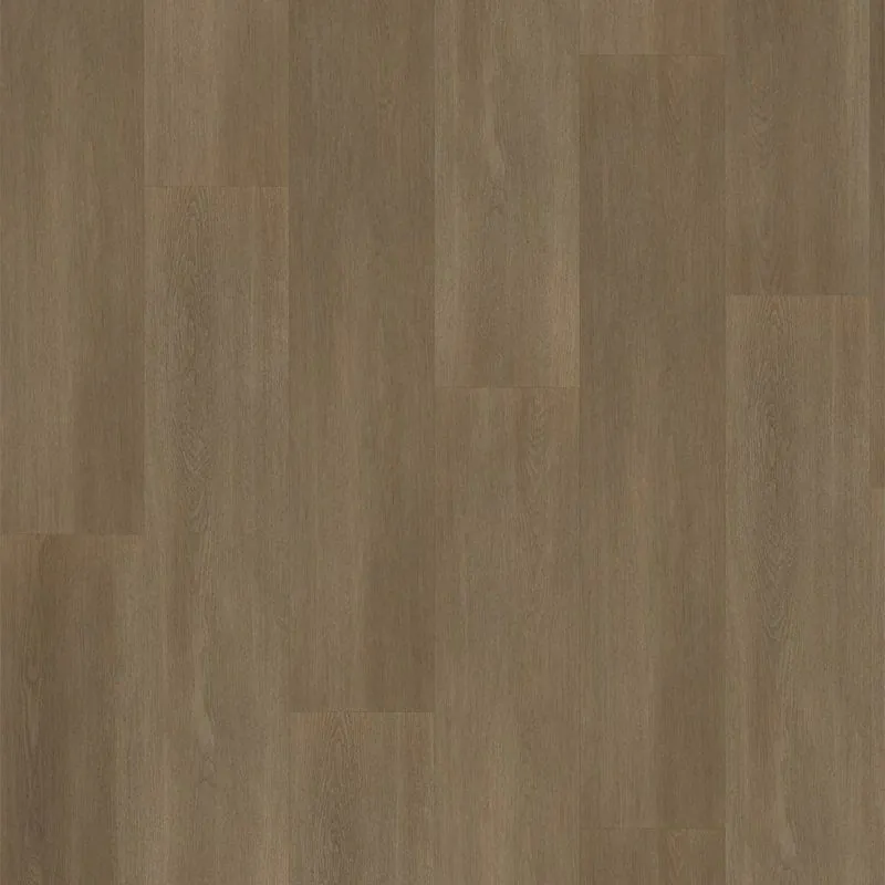 SELECTA DB DARK BROWN